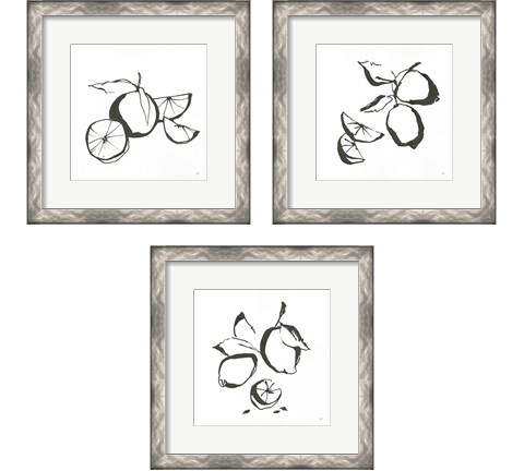 Black & White Fruit 3 Piece Framed Art Print Set by Chris Paschke