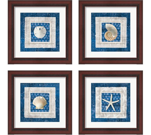 Sea Shell on Blue 4 Piece Framed Art Print Set by Belinda Aldrich