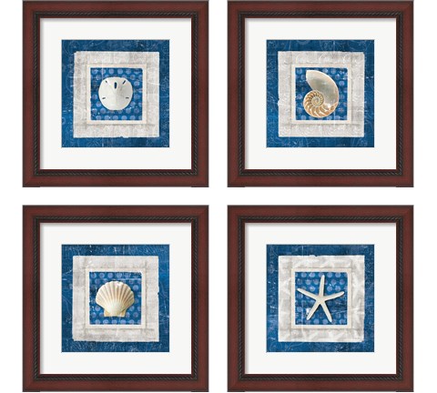 Sea Shell on Blue 4 Piece Framed Art Print Set by Belinda Aldrich