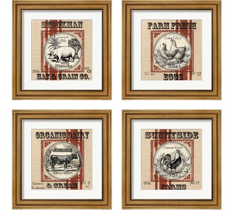 Organic Farm 4 Piece Framed Art Print Set by Tre Sorelle Studios