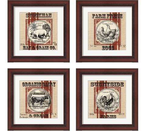 Organic Farm 4 Piece Framed Art Print Set by Tre Sorelle Studios