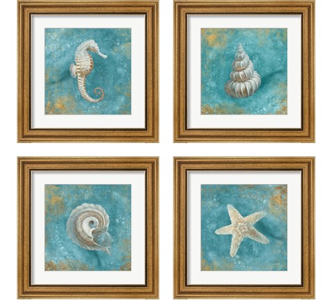 Treasures from the Sea 4 Piece Framed Art Print Set by Danhui Nai