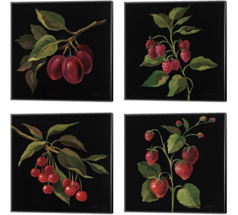 Fruit no Words 4 Piece Canvas Print Set by Silvia Vassileva