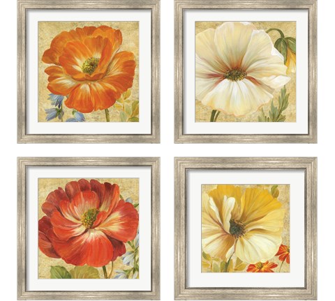 Primavera 4 Piece Framed Art Print Set by Pamela Gladding