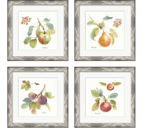 Orchard Bloom 4 Piece Framed Art Print Set by Lisa Audit