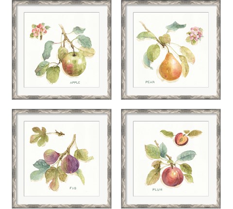 Orchard Bloom 4 Piece Framed Art Print Set by Lisa Audit