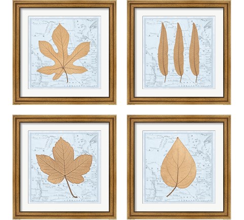 Nature's Profile 4 Piece Framed Art Print Set by Cory Bannister