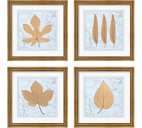 Nature's Profile 4 Piece Framed Art Print Set by Cory Bannister