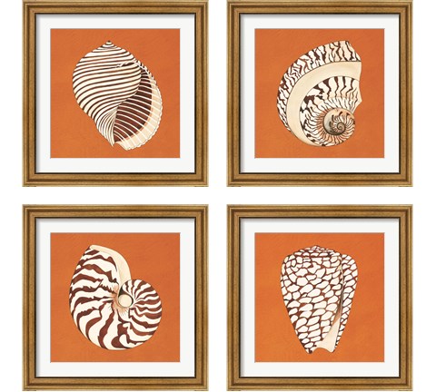 Cayman Quartet 4 Piece Framed Art Print Set by Judy Shelby