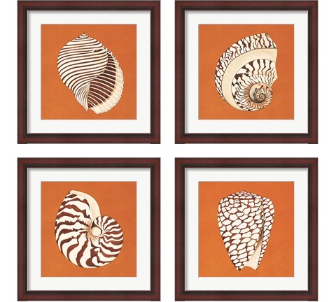 Cayman Quartet 4 Piece Framed Art Print Set by Judy Shelby