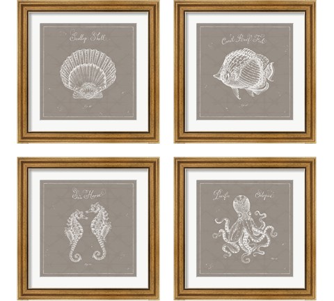 Underwater Life Greige 4 Piece Framed Art Print Set by Daphne Brissonnet