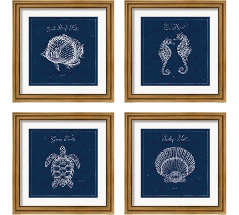 Underwater Life Navy 4 Piece Framed Art Print Set by Daphne Brissonnet