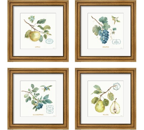 My Greenhouse Fruit 4 Piece Framed Art Print Set by Lisa Audit