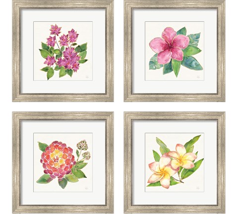 Tropical Fun Flowers 4 Piece Framed Art Print Set by Harriet Sussman