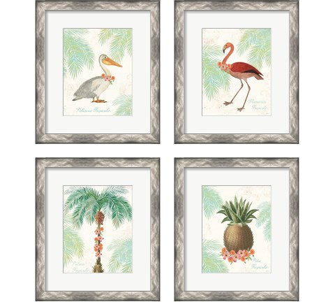 Flamingo Tropicale 4 Piece Framed Art Print Set by Sue Schlabach