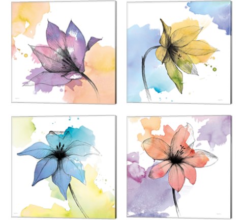 Watercolor Graphite Flower 4 Piece Canvas Print Set by Avery Tillmon