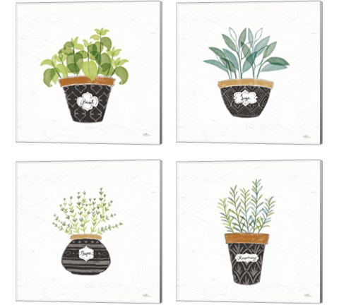 Fine Herbs  4 Piece Canvas Print Set by Janelle Penner