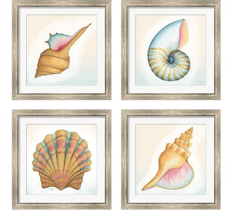 Boardwalk Sea Life 4 Piece Framed Art Print Set by Wild Apple Portfolio