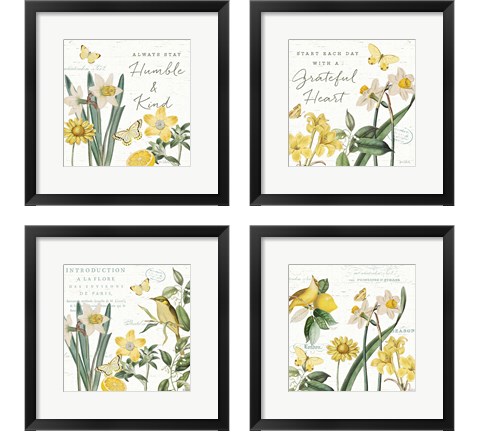 Citron Curiosities 4 Piece Framed Art Print Set by Katie Pertiet