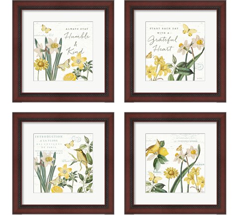 Citron Curiosities 4 Piece Framed Art Print Set by Katie Pertiet