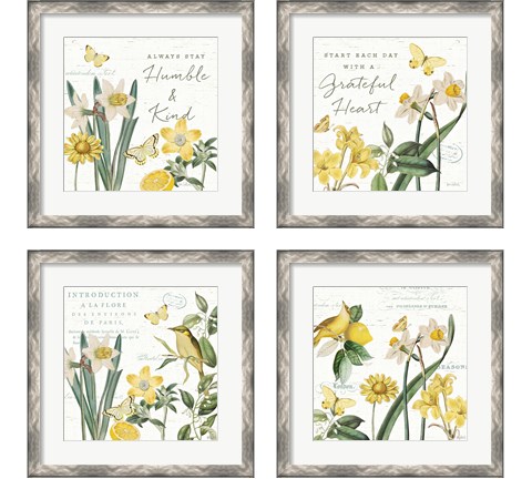 Citron Curiosities 4 Piece Framed Art Print Set by Katie Pertiet