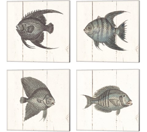 Fish Sketches Shiplap4 Piece Canvas Print Set by Wild Apple Portfolio