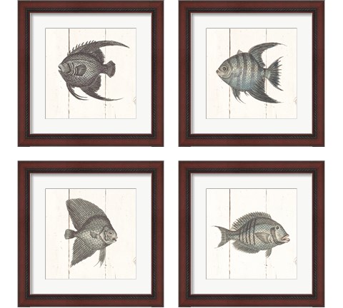 Fish Sketches Shiplap4 Piece Framed Art Print Set by Wild Apple Portfolio