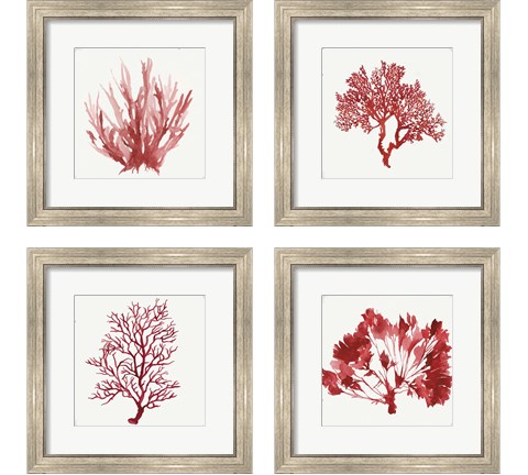 Red Coral 4 Piece Framed Art Print Set by Aimee Wilson