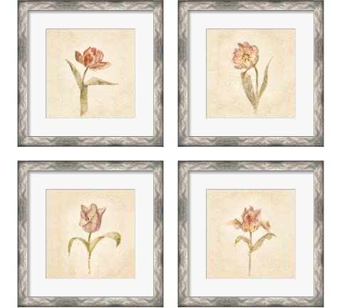 Tulip on White 4 Piece Framed Art Print Set by Cheri Blum