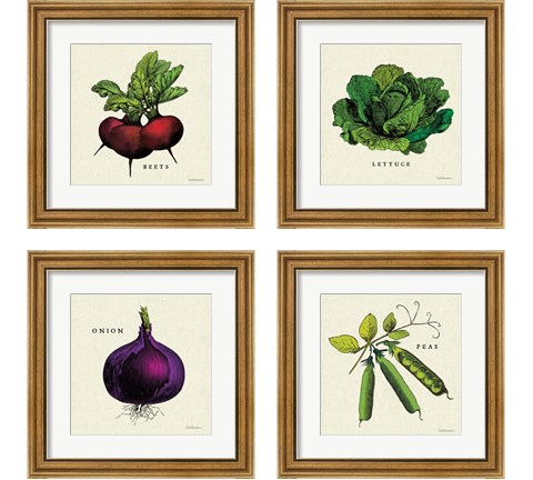 Linen Vegetable 4 Piece Framed Art Print Set by Studio Mousseau