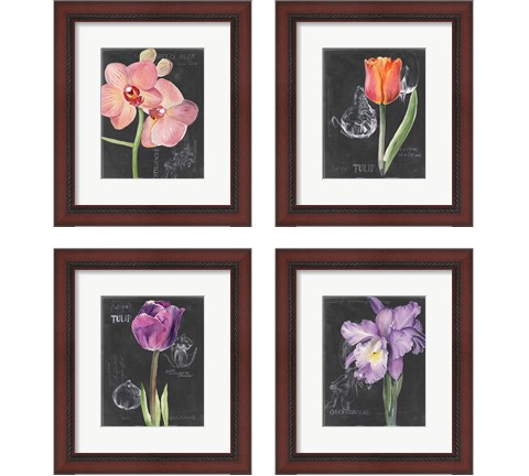 Chalkboard Flower 4 Piece Framed Art Print Set by Jennifer Parker