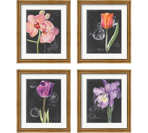 Chalkboard Flower 4 Piece Framed Art Print Set by Jennifer Parker