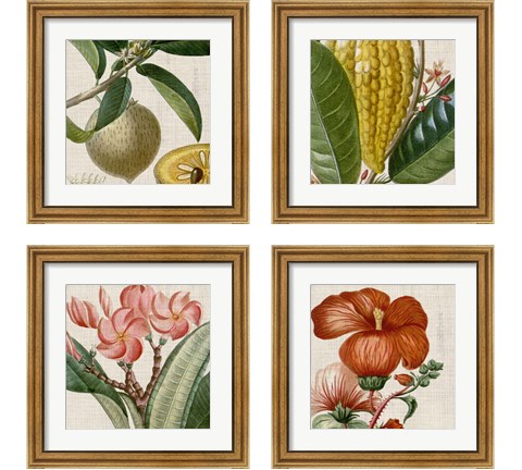 Cropped Turpin Tropicals 4 Piece Framed Art Print Set by Vision Studio