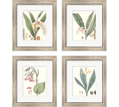 Soft Tropical  4 Piece Framed Art Print Set by George Smith