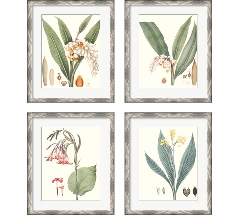 Soft Tropical  4 Piece Framed Art Print Set by George Smith