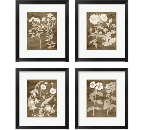 Botanical in Taupe 4 Piece Framed Art Print Set by Vision Studio