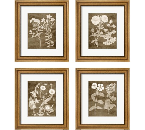 Botanical in Taupe 4 Piece Framed Art Print Set by Vision Studio