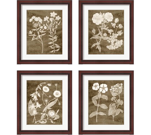 Botanical in Taupe 4 Piece Framed Art Print Set by Vision Studio