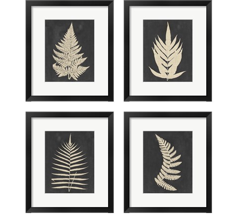 Linen Fern 4 Piece Framed Art Print Set by Vision Studio