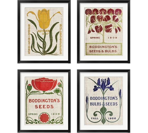 Flower Seed Packs 4 Piece Framed Art Print Set by Vision Studio