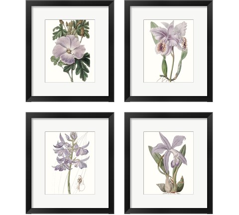 Lavender Beauties 4 Piece Framed Art Print Set by Edwards