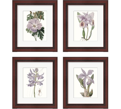 Lavender Beauties 4 Piece Framed Art Print Set by Edwards