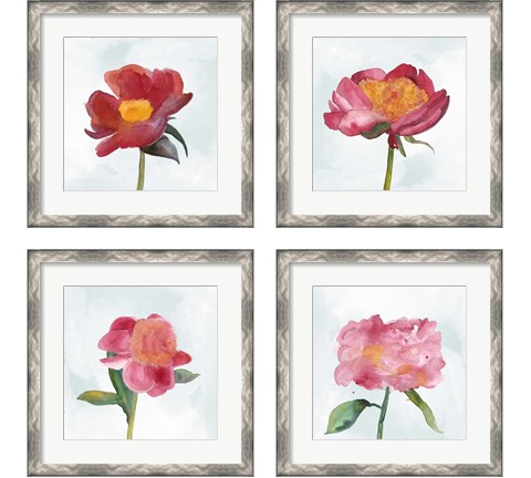 Joyful Peony 4 Piece Framed Art Print Set by Alicia Ludwig