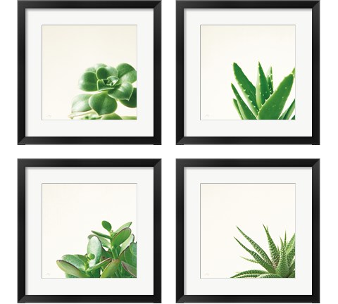 Succulent Simplicity 4 Piece Framed Art Print Set by Felicity Bradley