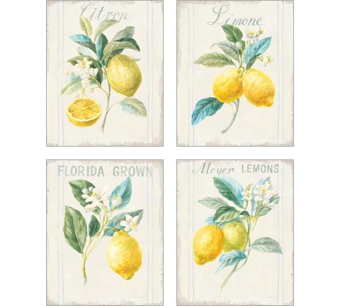 Floursack Lemon 4 Piece Art Print Set by Danhui Nai