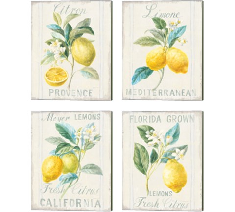 Floursack Lemon 4 Piece Canvas Print Set by Danhui Nai