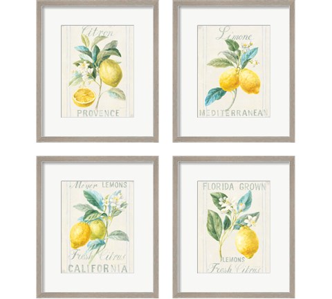 Floursack Lemon 4 Piece Framed Art Print Set by Danhui Nai