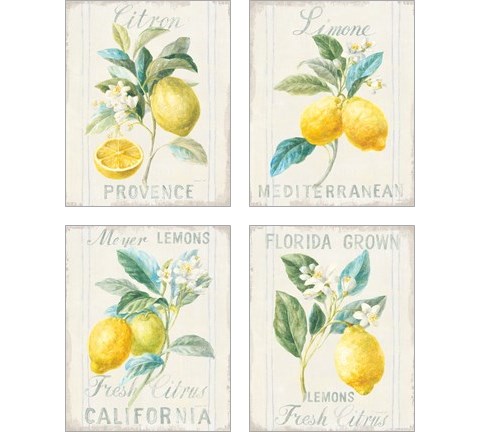 Floursack Lemon 4 Piece Art Print Set by Danhui Nai