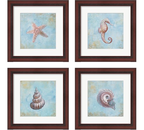 Treasures from the Sea Watercolor 4 Piece Framed Art Print Set by Danhui Nai