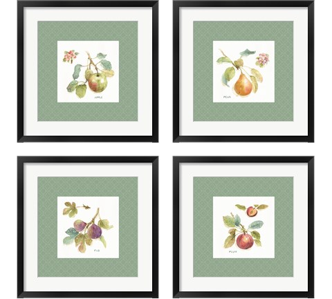 Orchard Bloom Border 4 Piece Framed Art Print Set by Lisa Audit